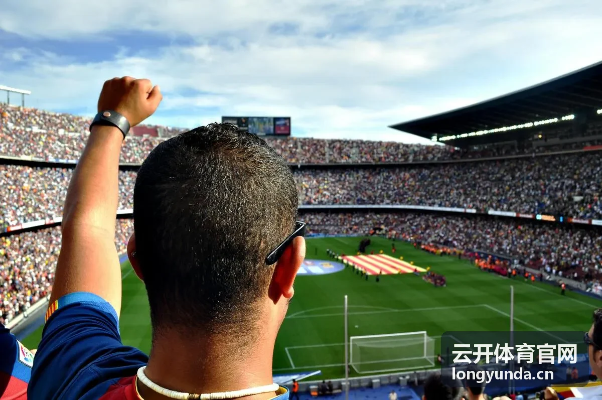云开体育官网电竞赛事分类