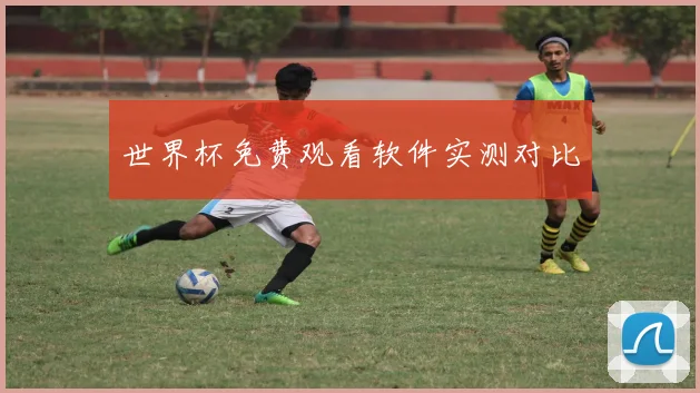世界杯免费观看软件实测对比