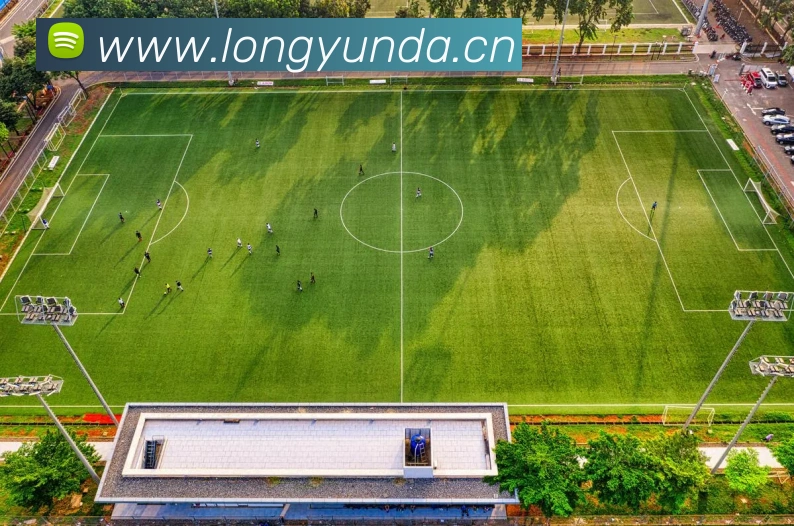 半岛官网地址APP 体育赛事宣传图